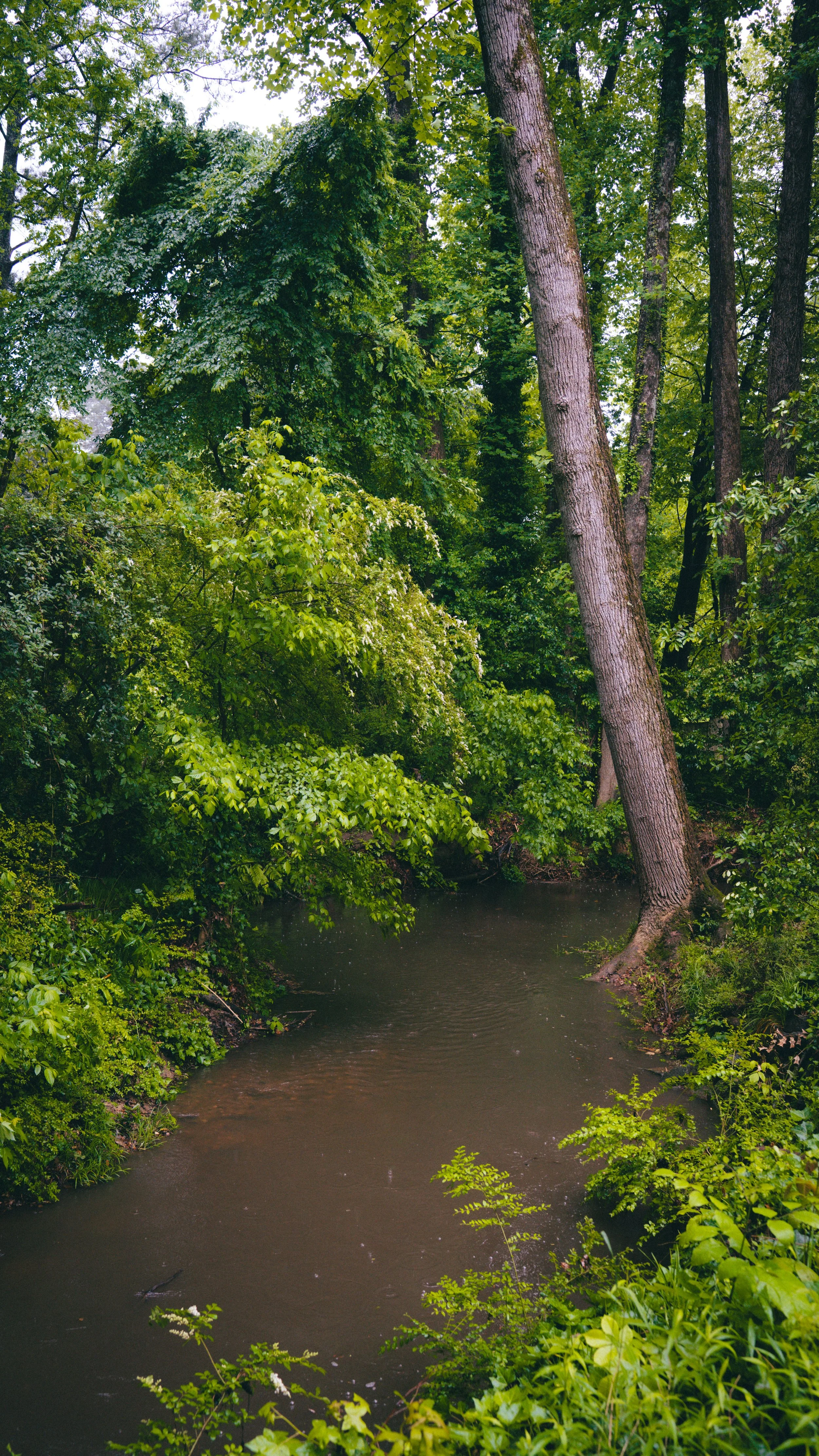 Winding Waters River Pics-4.jpg
