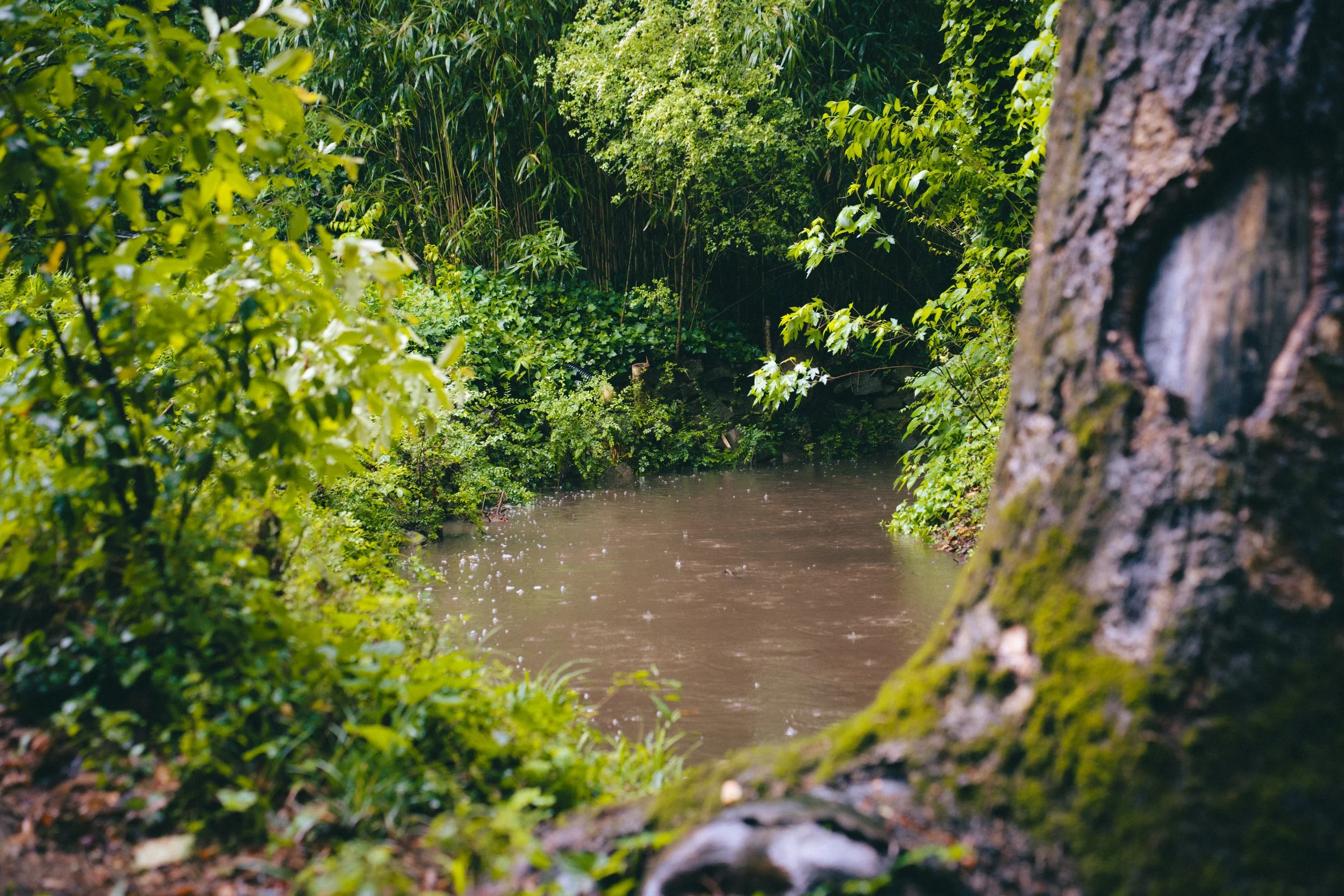 Winding Waters River Pics-12.jpg
