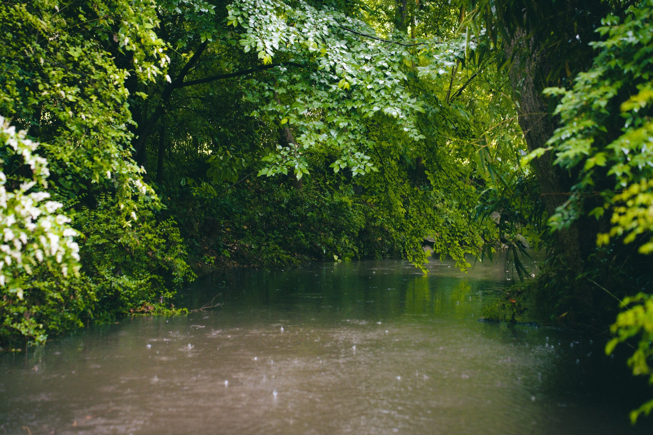 Winding Waters River Pics-9.jpg