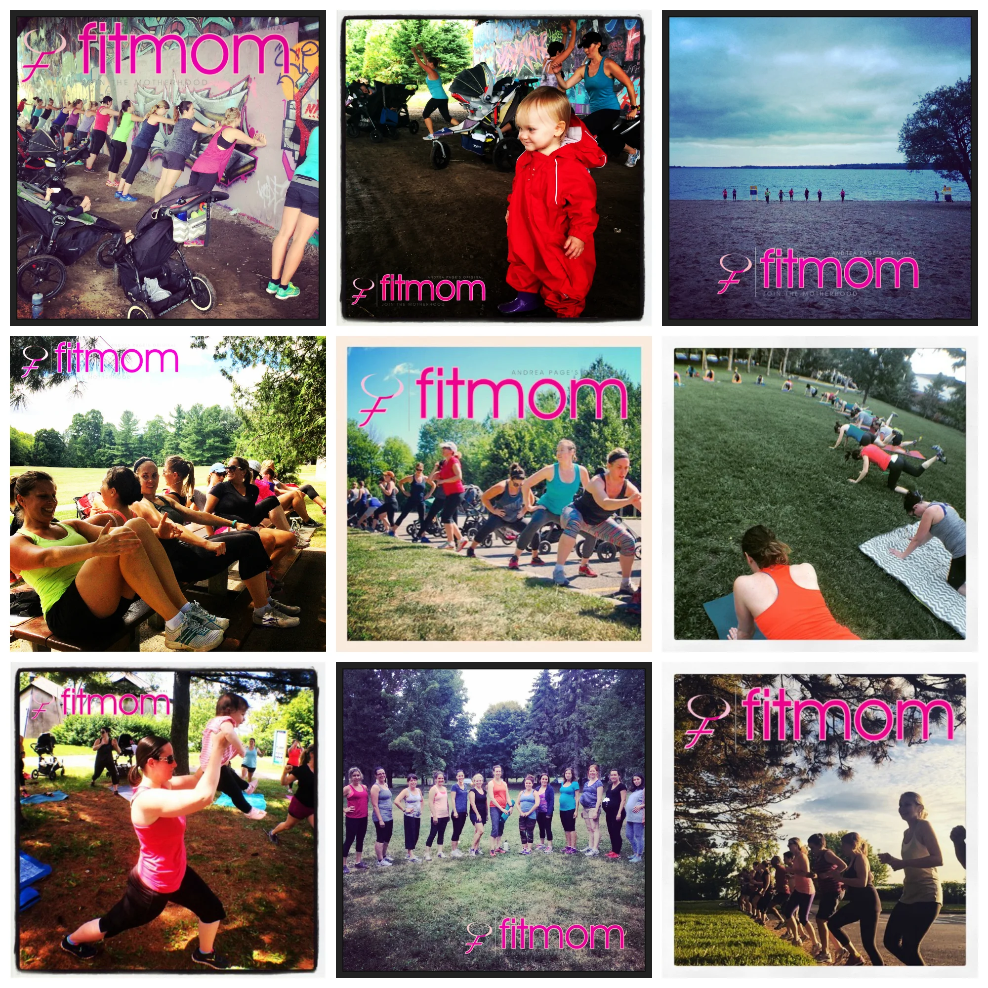 2015: What a Great Year!