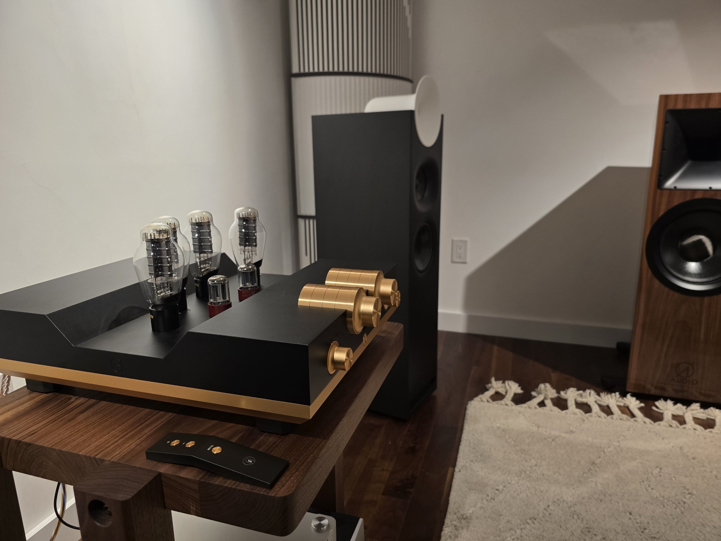 WA300-BAL Integrated Power Amplifier Side View.jpg