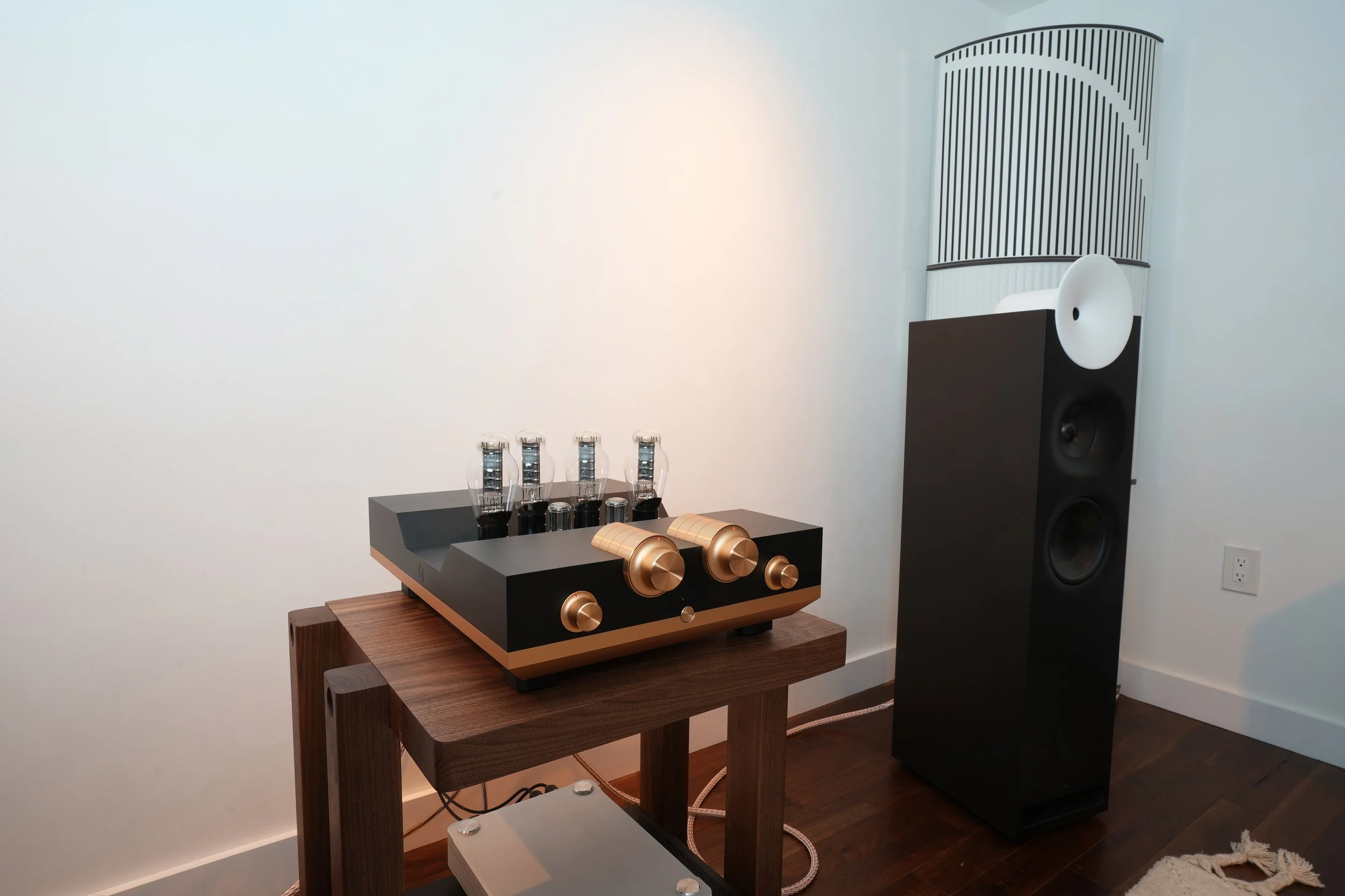 WA300-BAL Integrated Power Amplifier Angle View.JPG