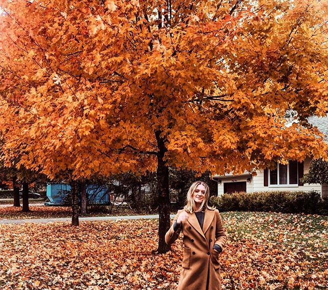 wait does anyone know what season it is 📷: @francoisarnaud