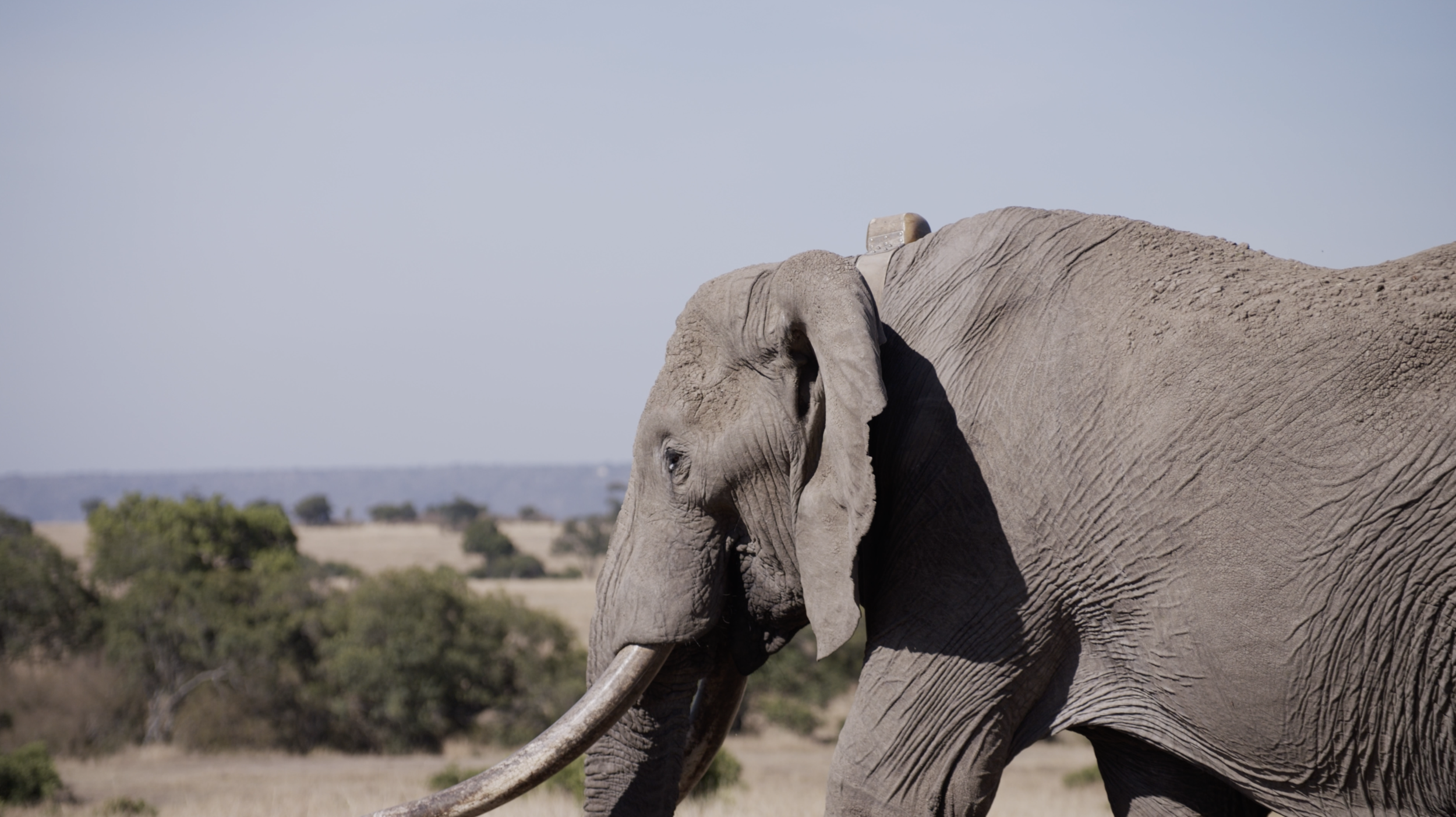 Screen Shot 2018-11-26 at 22.53.10.png