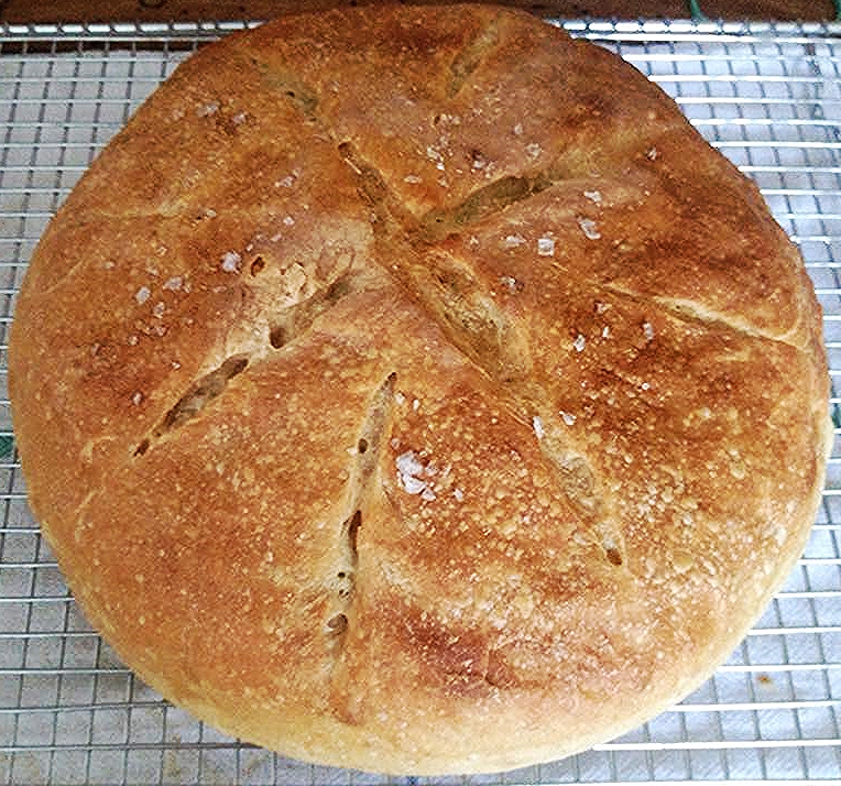 Sourdough