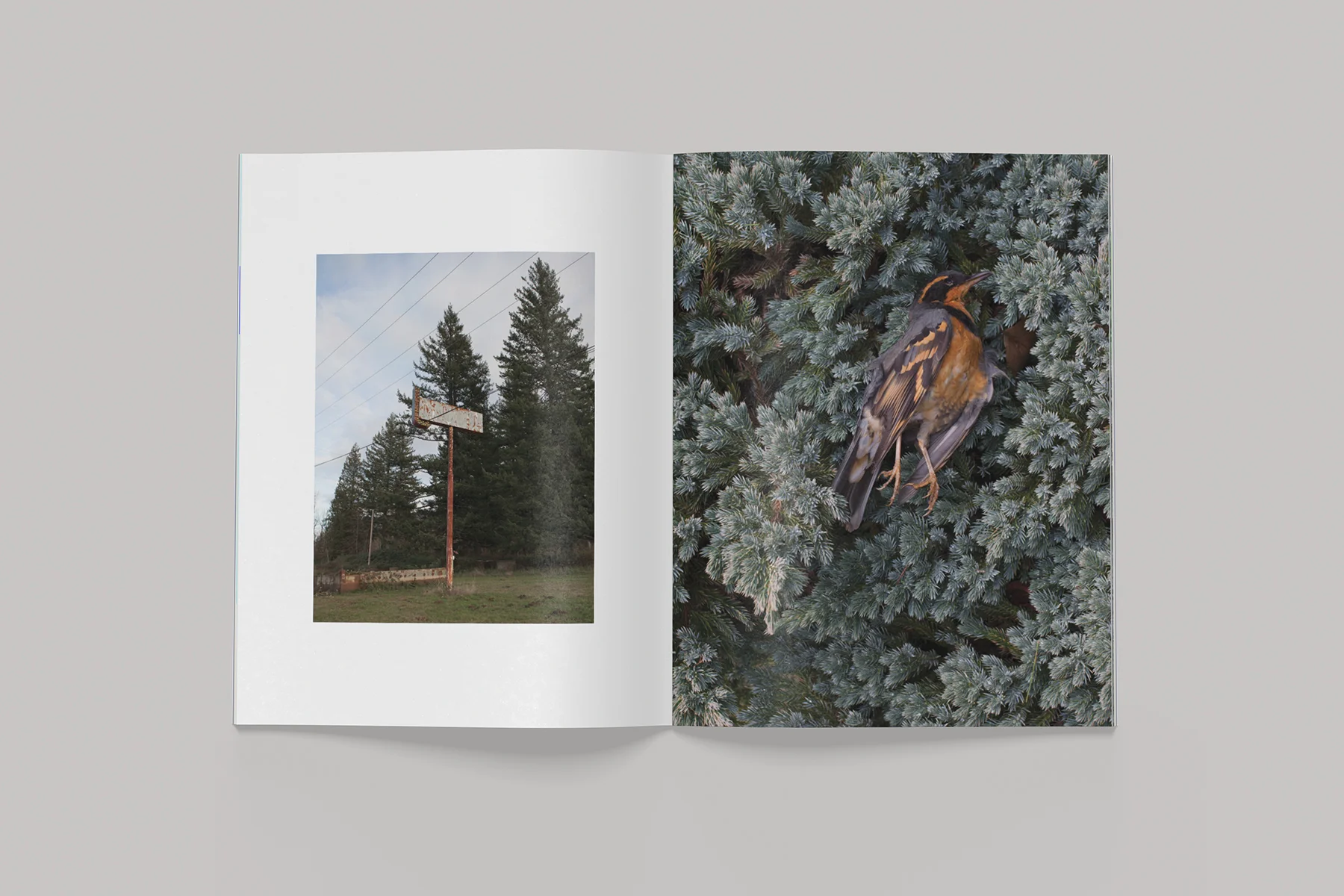 Book_MockUP_Spread1.jpg