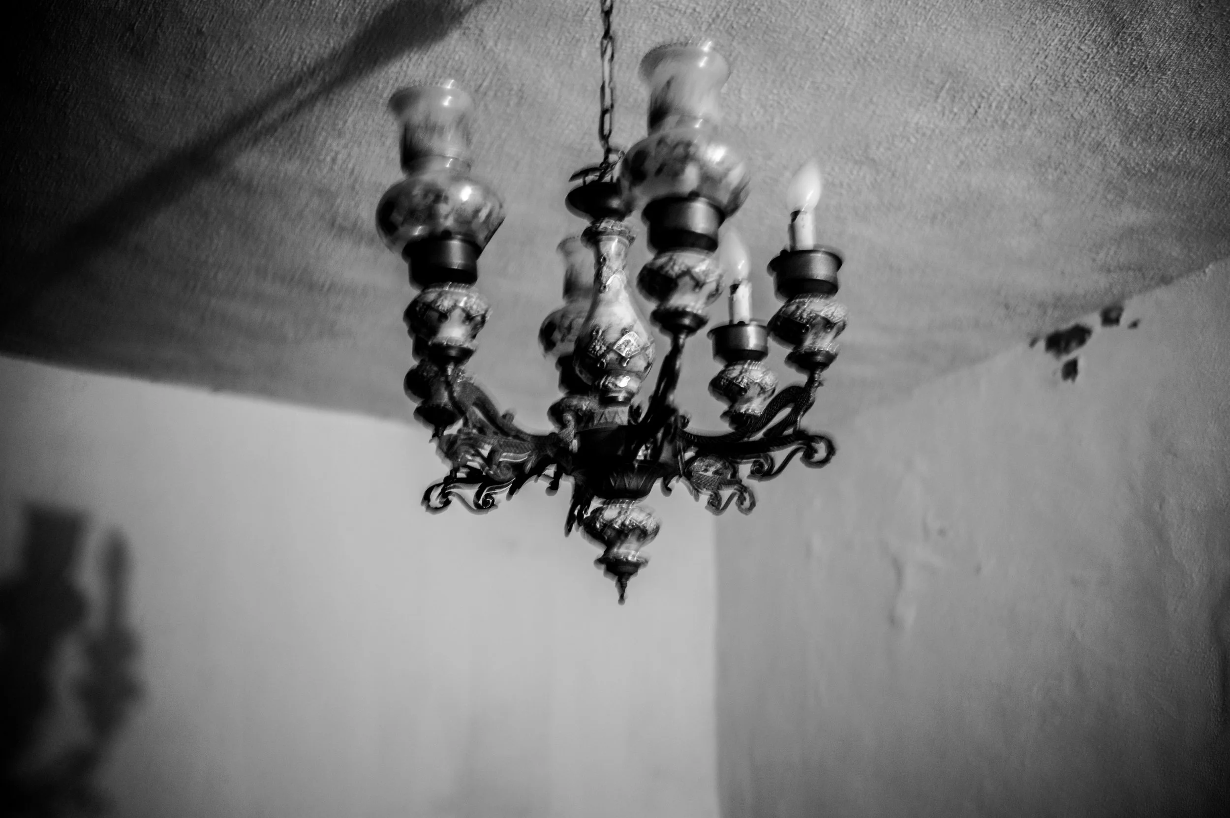 L1019435.jpg