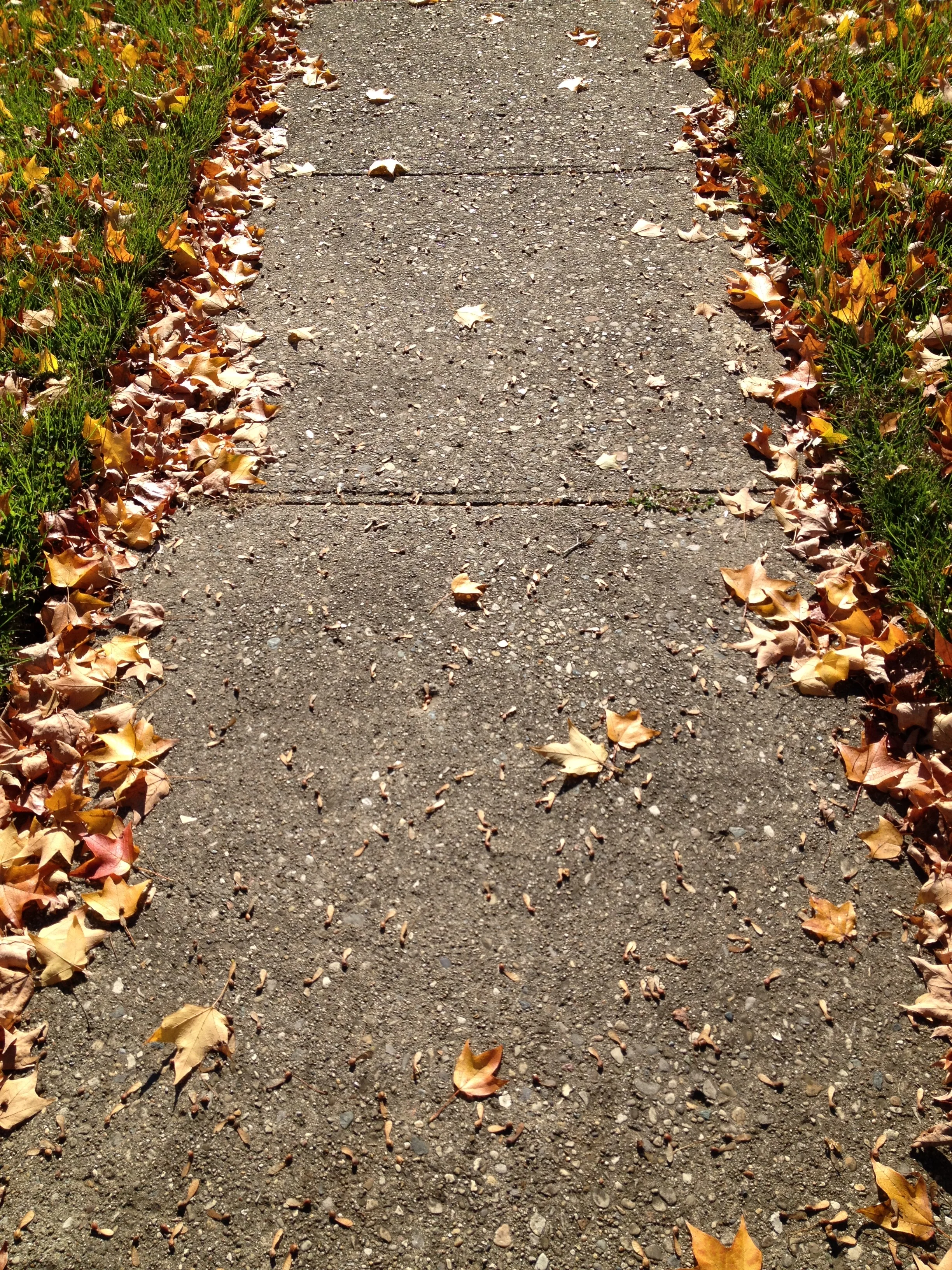 2013-10-22 11.15.31.jpg