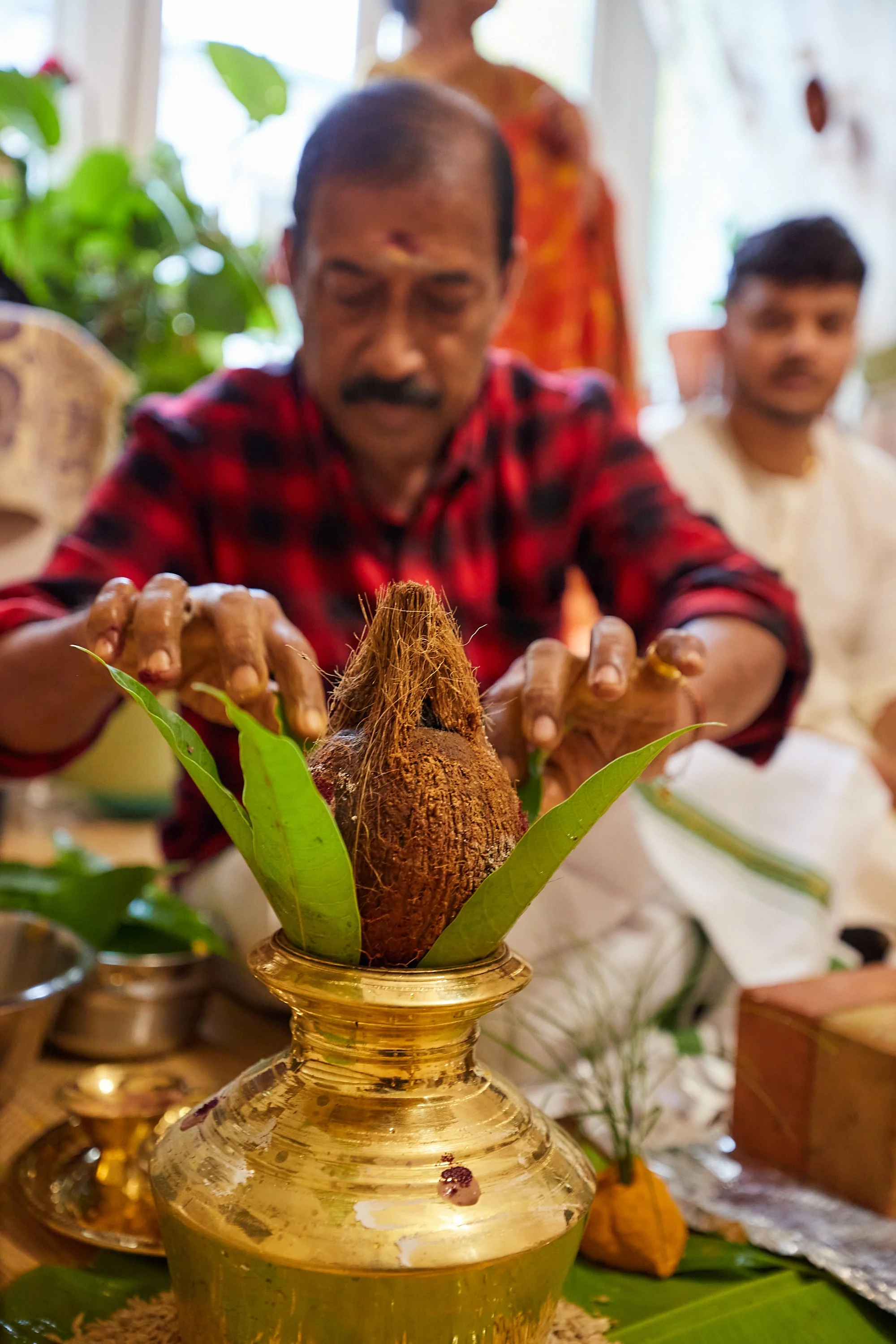 A man in a red and black checkered shirt is performing a traditional ritual with a coconut placed in a golden vessel, surrounded by green leaves at a ceremonial or religious event.