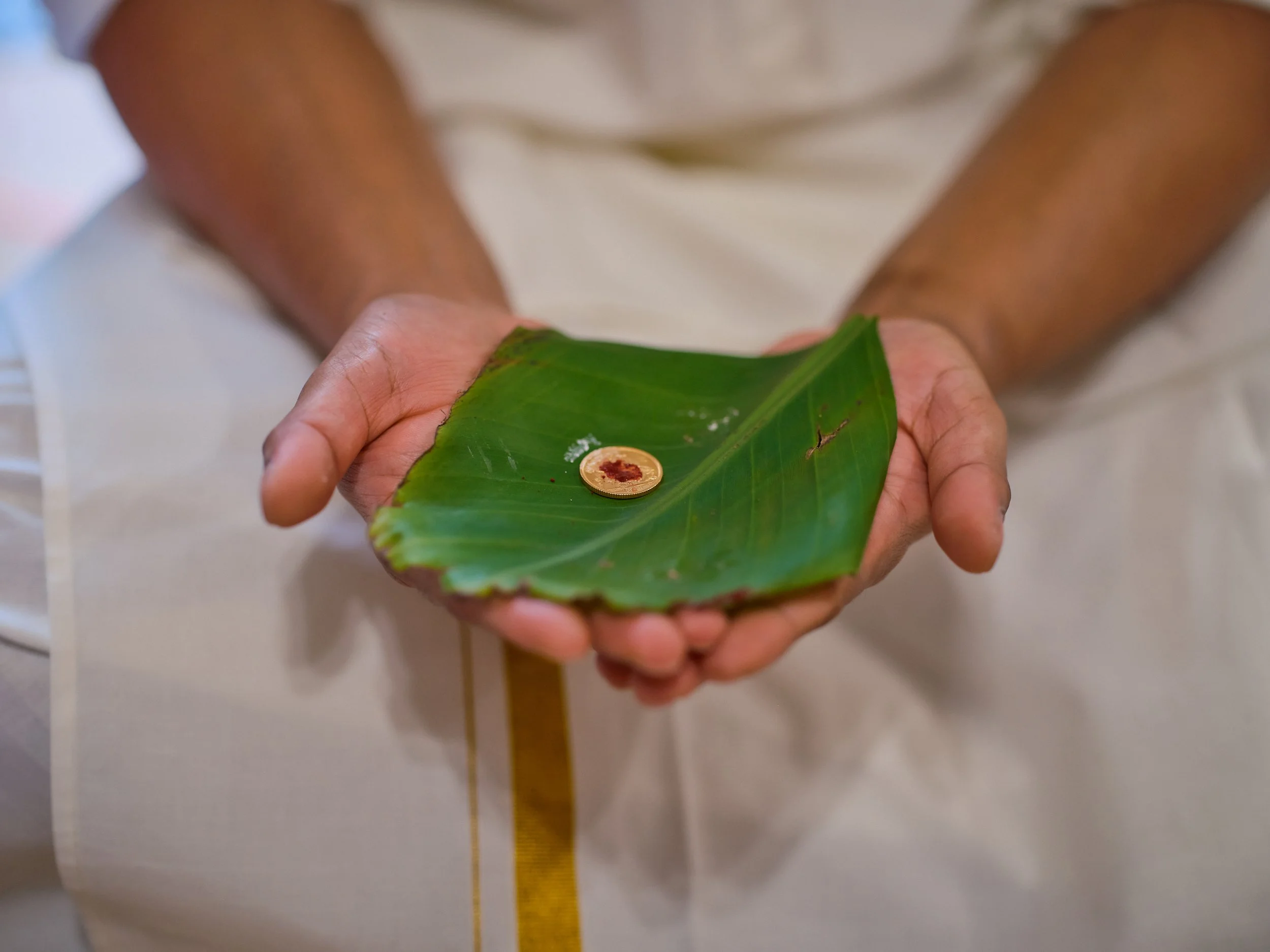 A person holding a large green leaf with a small coin and a tiny beetle on it.