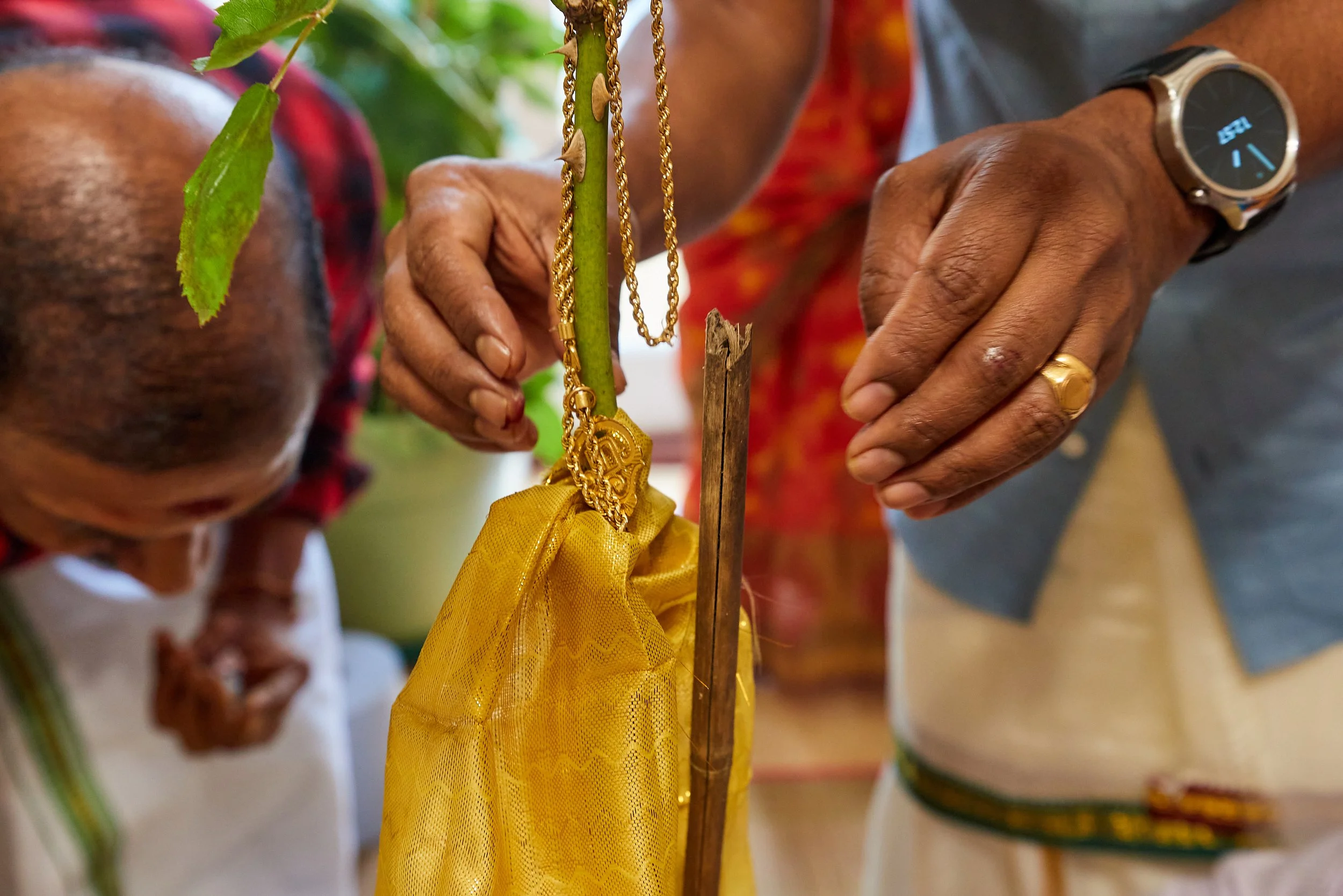 Close-up of a person praying or performing a ritual, with their hands near a green plant and a yellow cloth. The person is wearing a watch and a gold ring, and there are gold necklaces hanging from the plant.