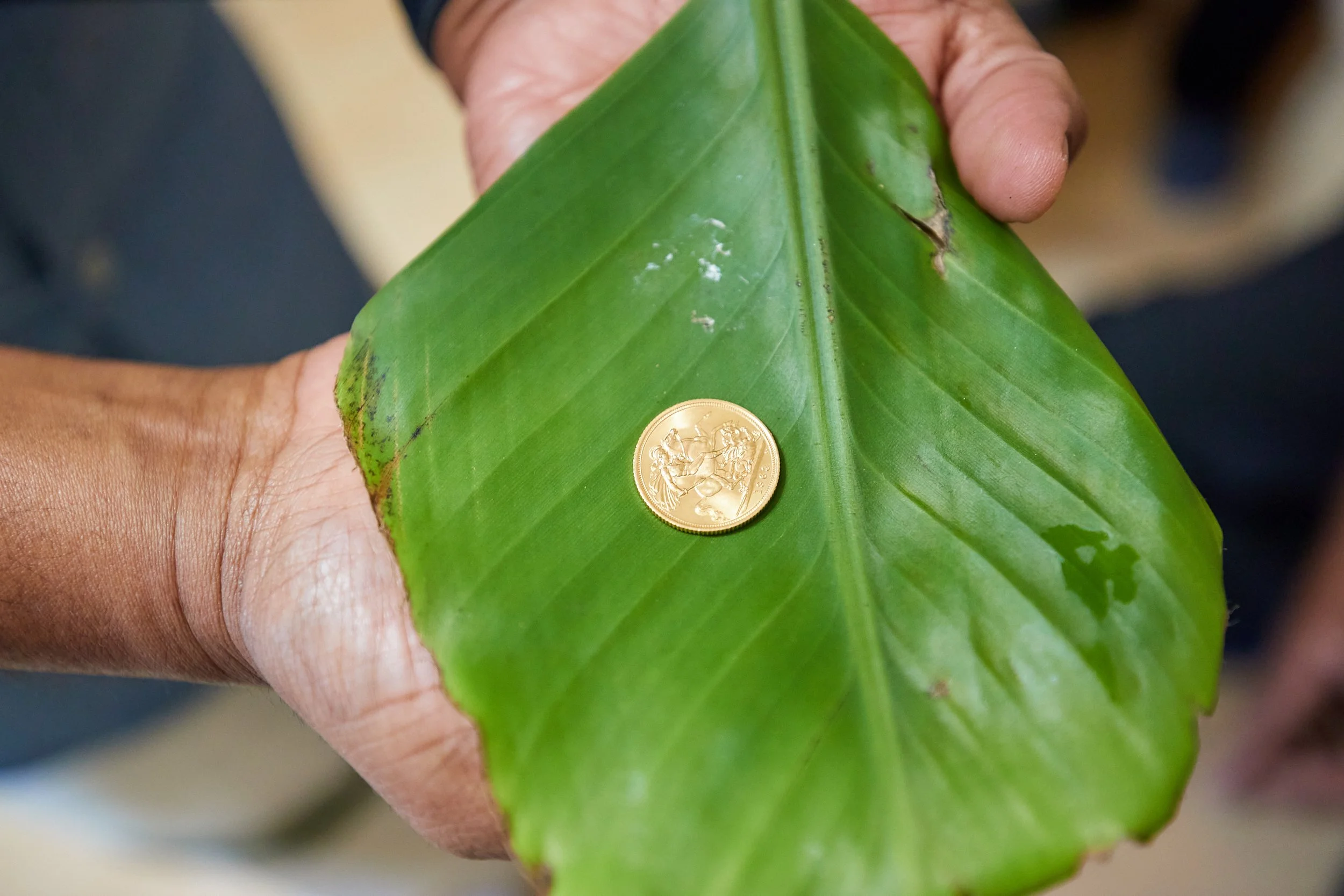 Hand holding a large green leaf with a gold coin placed on it, showing a dragon design.