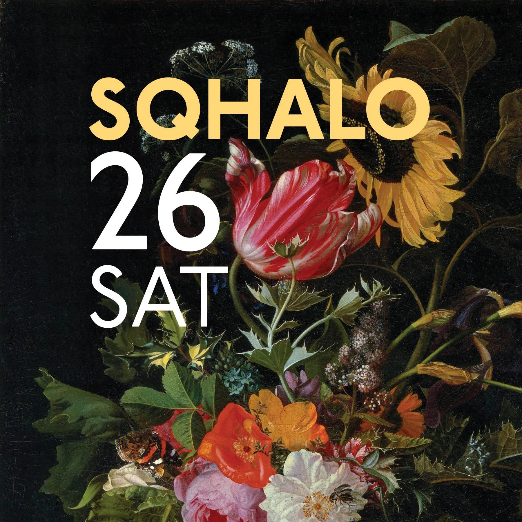 SqHalo26-One Day 07.jpg