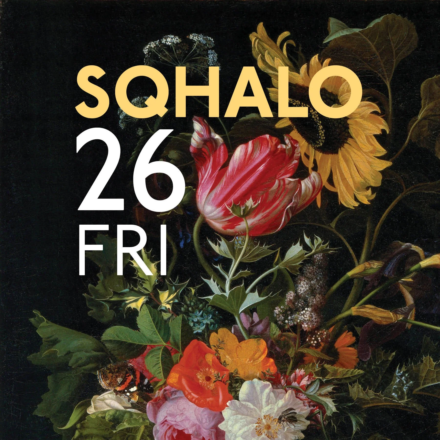 SqHalo26-One Day 06.jpg