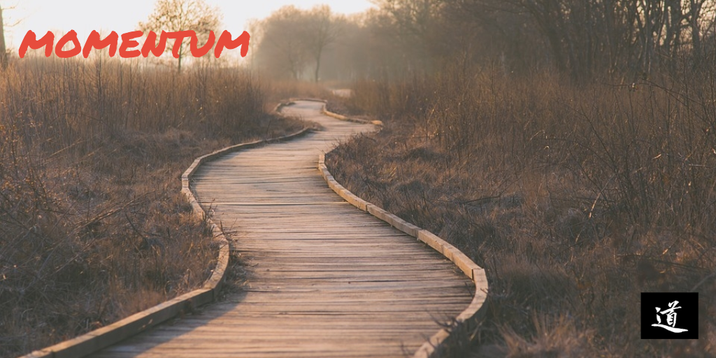 MOMENTUM