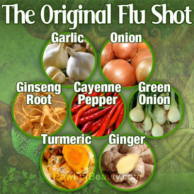 original flu shot.jpg