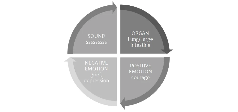 01_LUNG.jpg