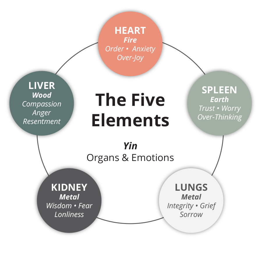 Chinese Medicine Organs Emotions Chart