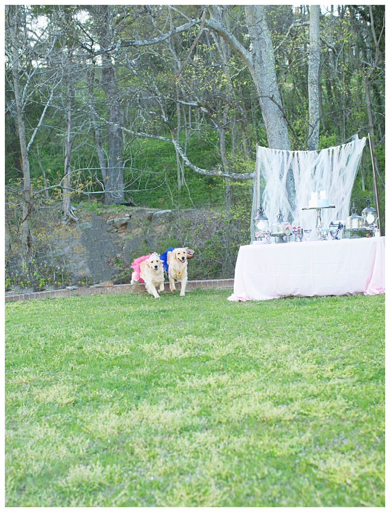 What a cute way to reveal the Big Surprise!!!!! 