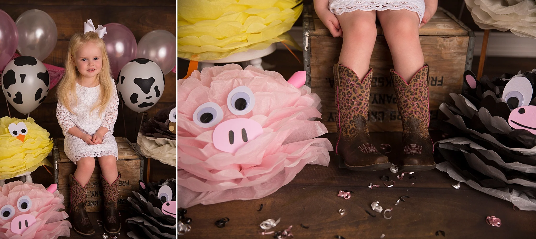 Stephanie Tignor Photography_Milestone Session_Farm_1301.jpg