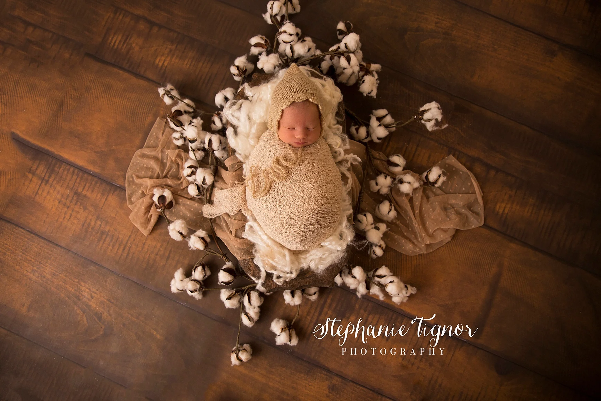 Stephanie Tignor Photography | Fredericksburg VA Newborn Photographer | Warrenton VA Newborn Photographer | Stafford VA Newborn Photographer | Newborn Photographer