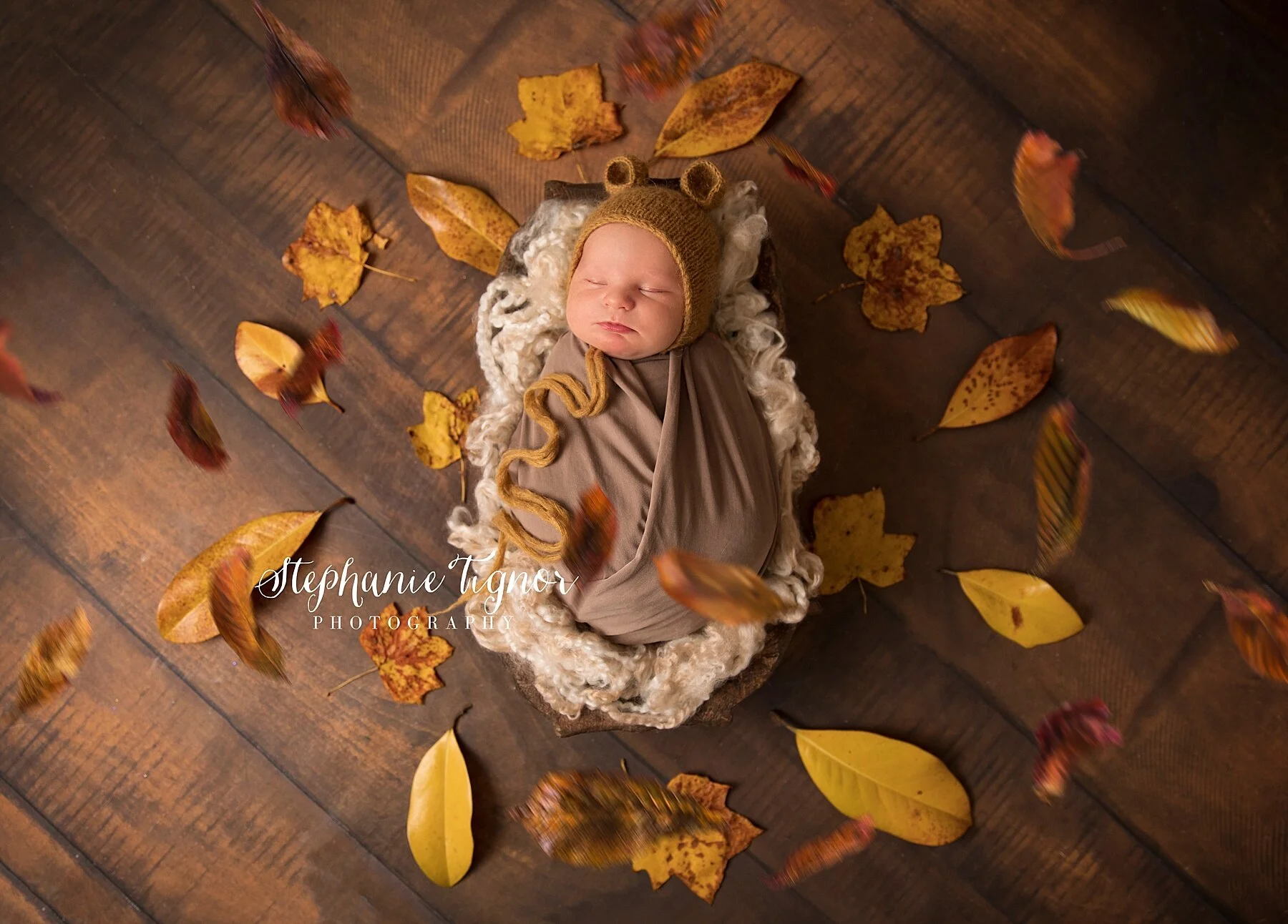fall newborn photography