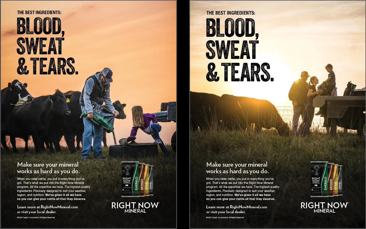 Two farm advertisements for Right Now Mineral, each showing a sunset or sunrise scene with people and cattle. The left ad features a man pouring mineral supplement for cattle while a young girl interacts with a calf. The right ad shows a man and woman with a child, collecting mineral supplements from a trailer at sunset. Both ads highlight the benefits of mineral supplements for cattle health.