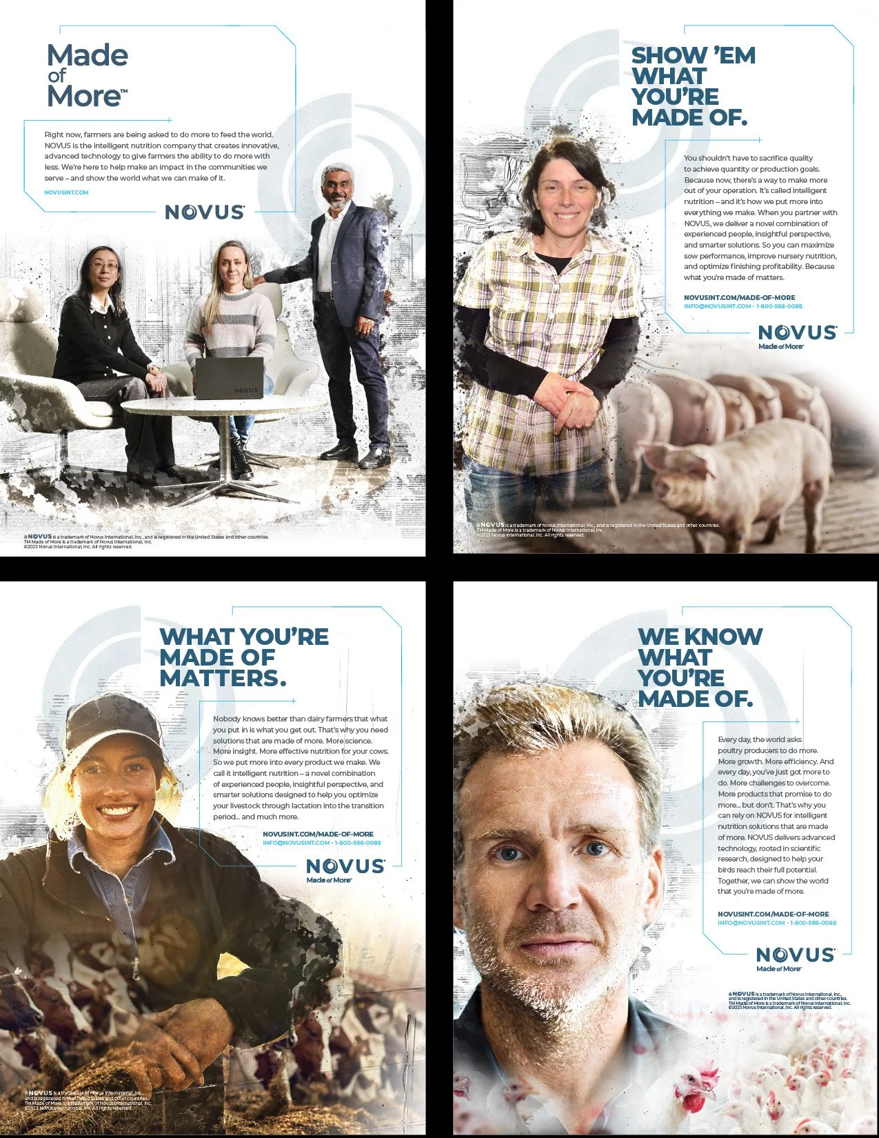 Collage of four images promoting NOVUS, an agricultural and dairy solutions company. Top left shows a diverse group of four professionals in an office setting, some with laptops. Top right features a smiling woman in a plaid shirt standing in front of piglets. Bottom left depicts a smiling female dairy farmer in a cap, with dairy cows in a pasture. Bottom right shows a man with a serious expression, surrounded by chickens.