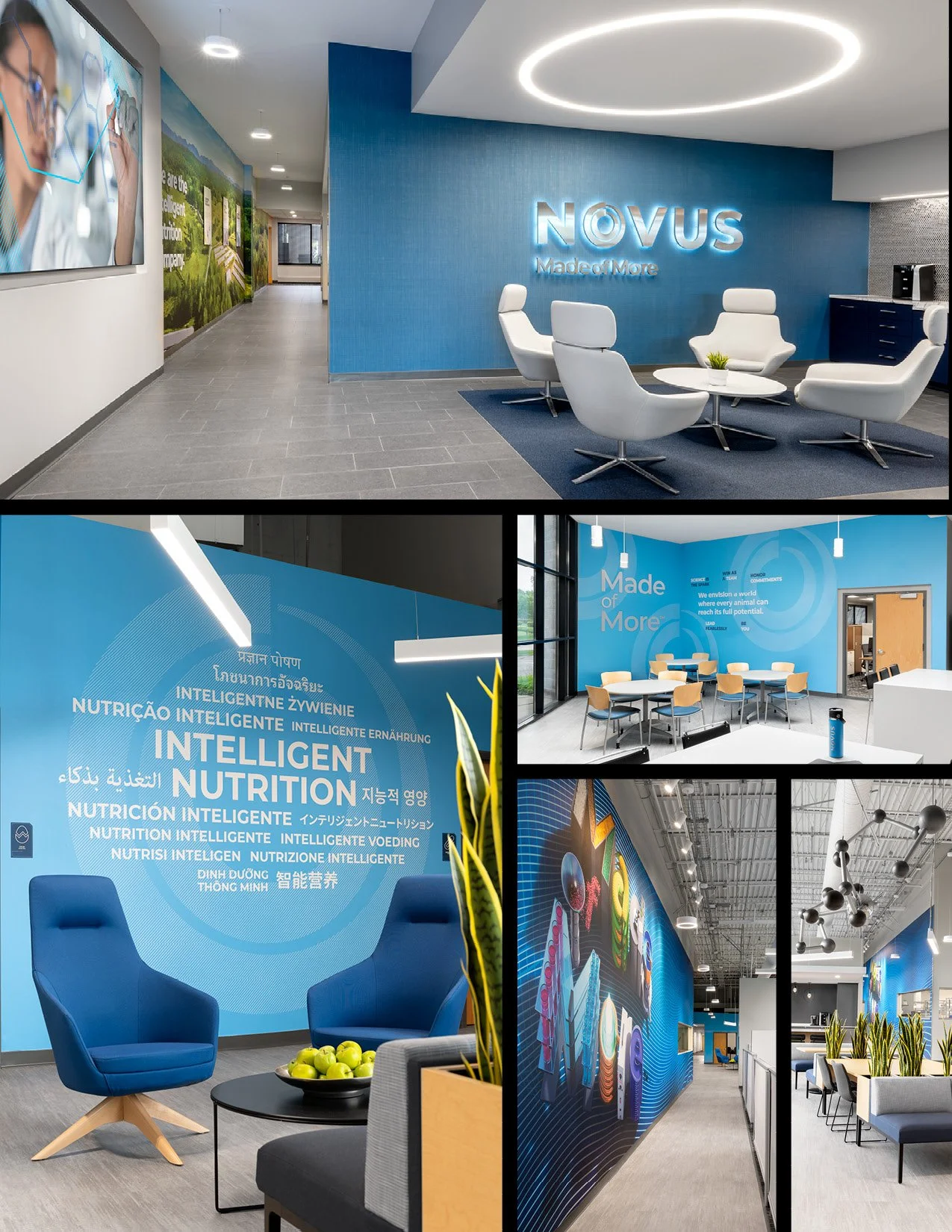 Collage of modern office interior spaces with seating areas, informational wall displays, and decorative lighting, featuring a corporate environment for Novus.