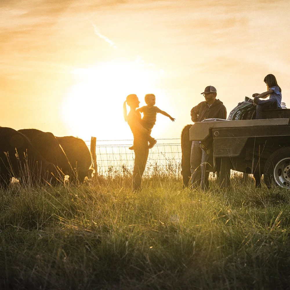 A family standing near a trailer with a dog, and a woman holding a child, in a field during sunset.
