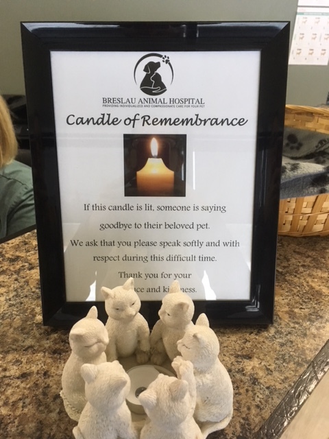 Candle of Remembrance (2).JPG
