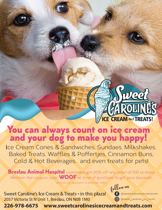 Sweet Caroline's Ice Cream & Treats - Flyer 12152021.PNG