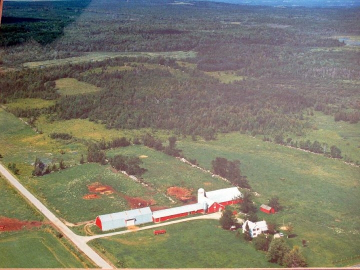  The Gibson Family's Farm 