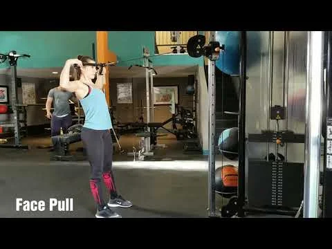 Face Pull (Copy)