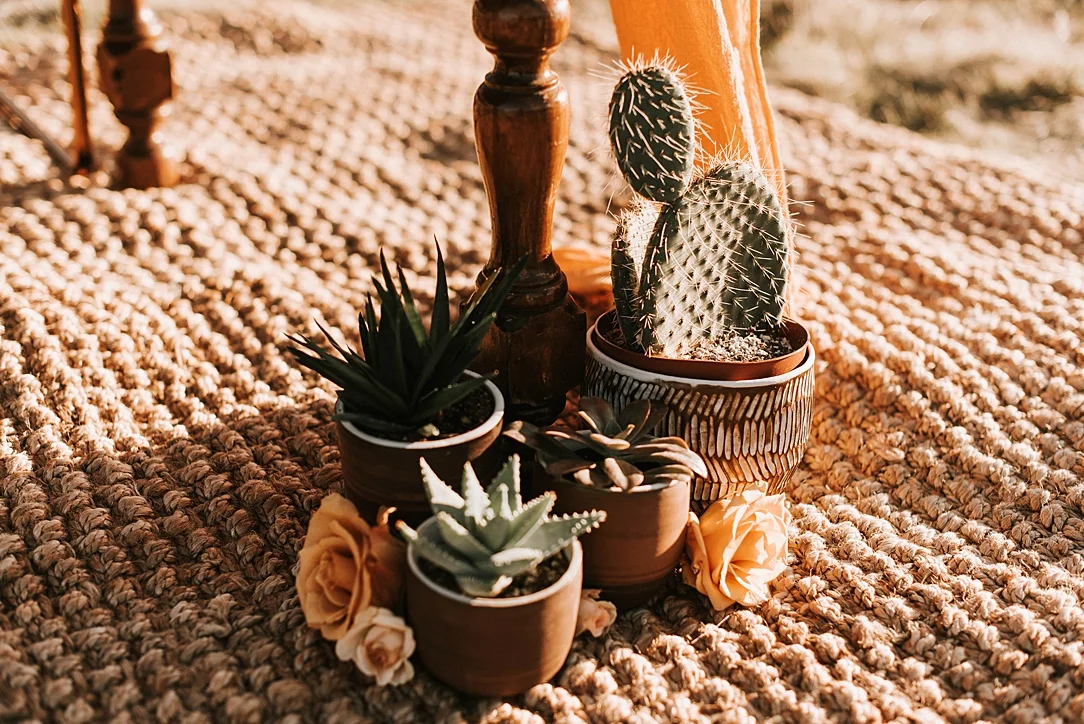 nbp-desert-elopement_0055.jpg