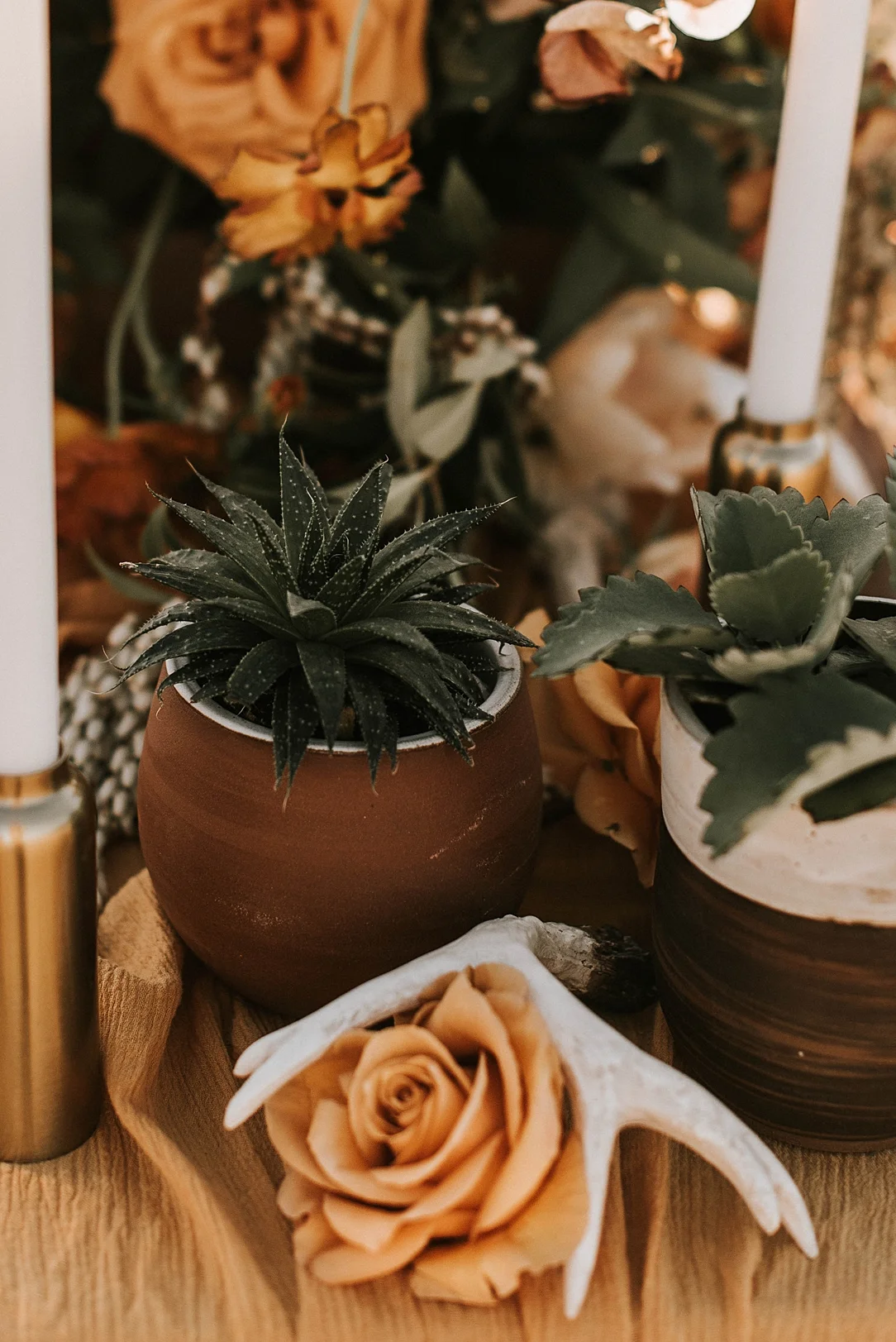 nbp-desert-elopement_0064.jpg