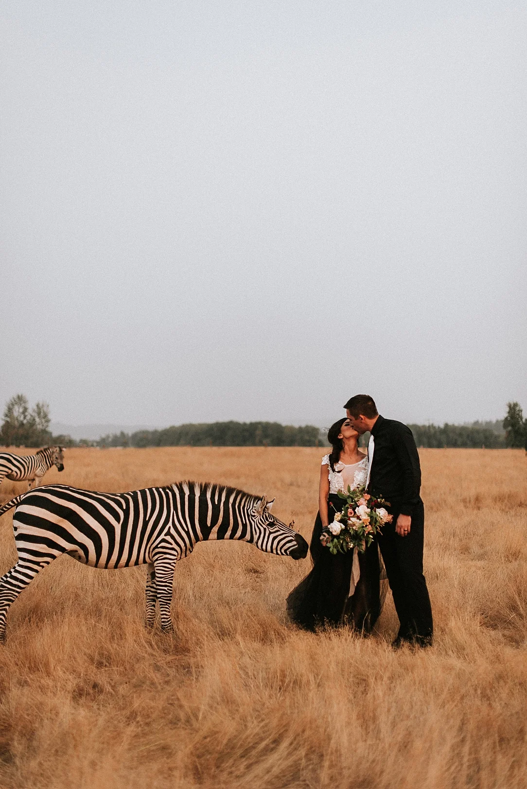 nbp-moody-safari_0002.jpg