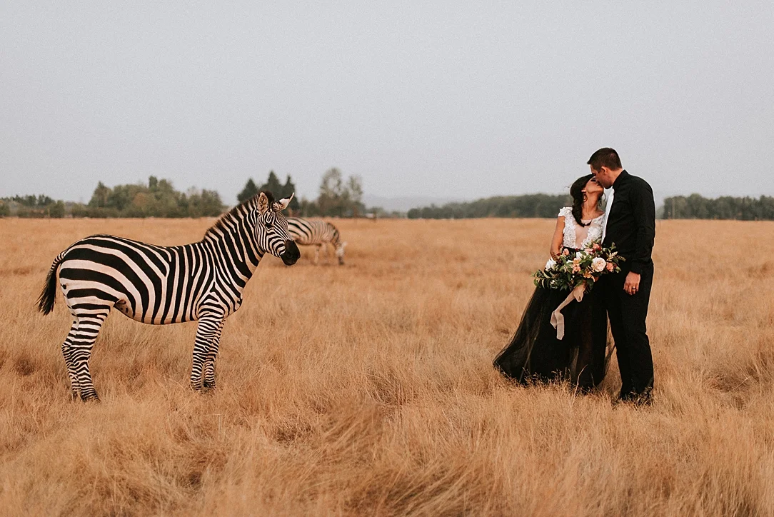 nbp-moody-safari_0001.jpg