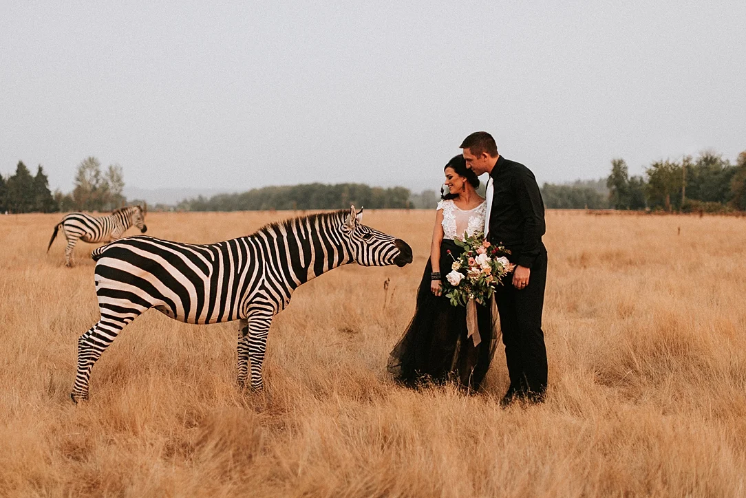 nbp-moody-safari_0003.jpg