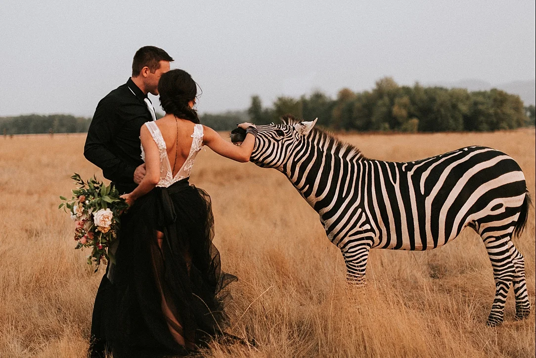 nbp-moody-safari_0008.jpg