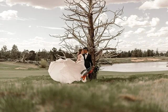 // my heart hurts for every bride + groom out there that has been affected by cancellations + postponements of their weddings. not only is it such a big event (marrying your person + all), but it is also such a huge financial investment - and some of