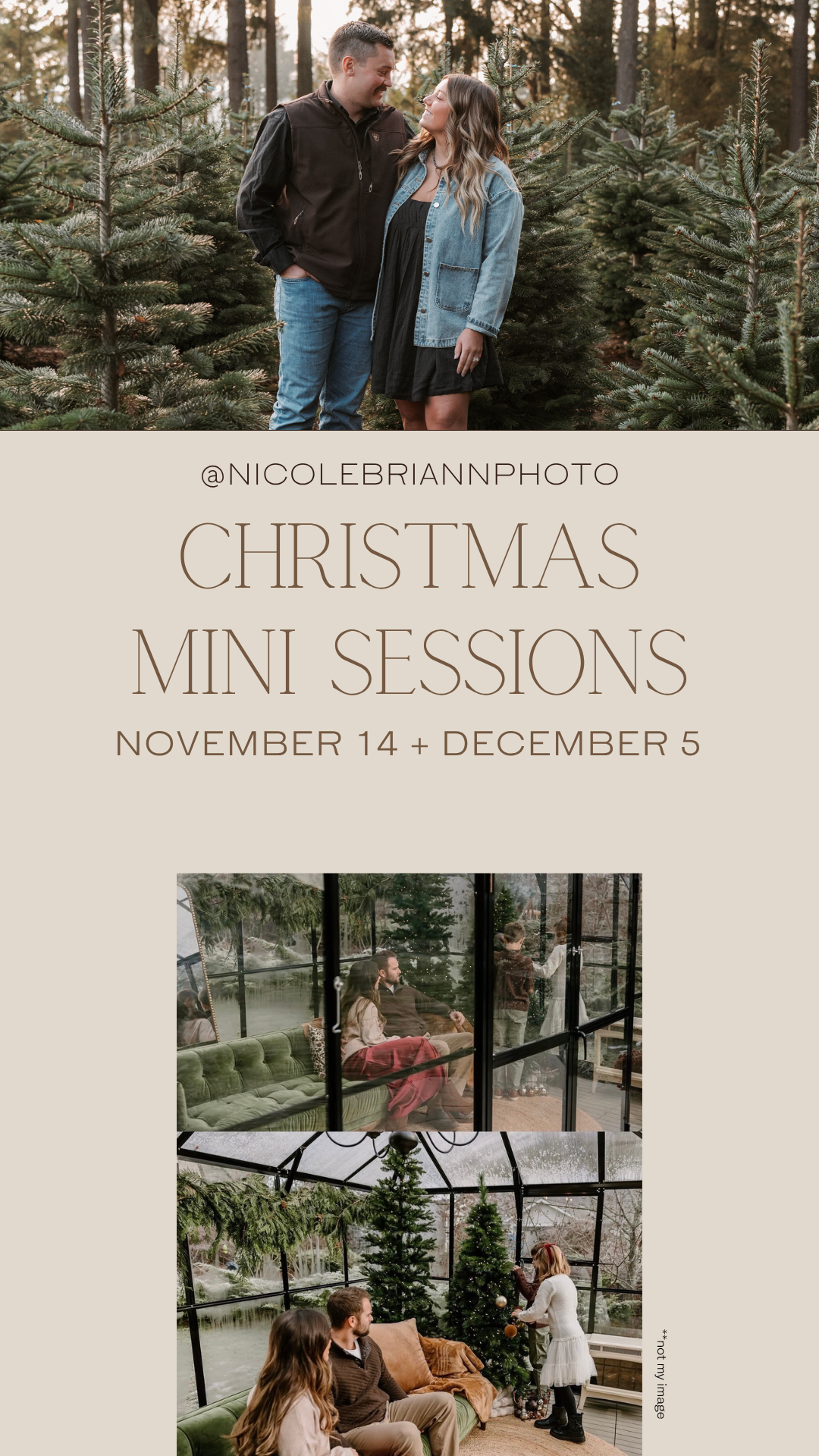 christmas minis.png