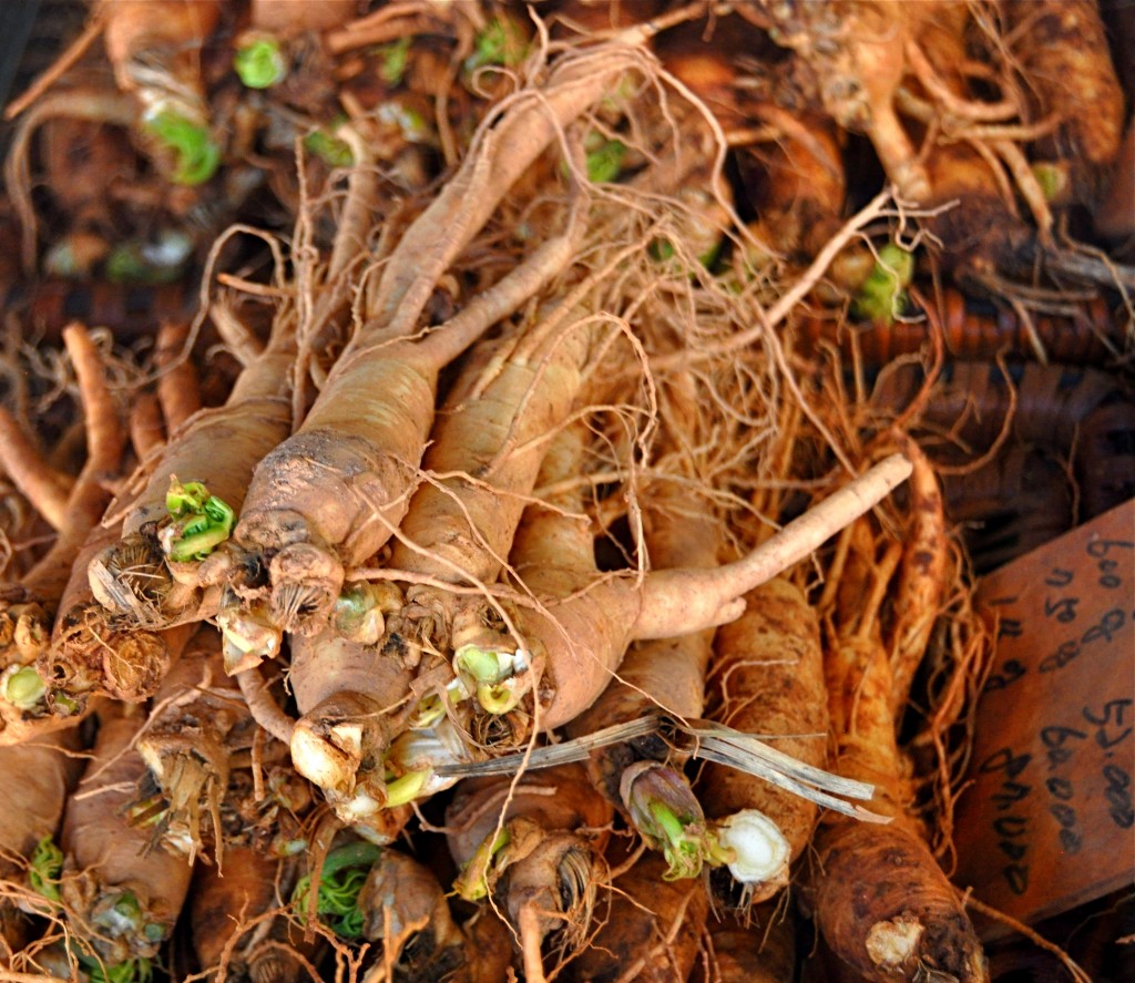 ginseng-1024x887.jpg