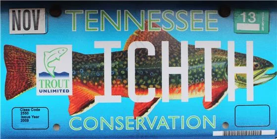 TU Plate Sales Fuel Brook Trout Restoration.jpg