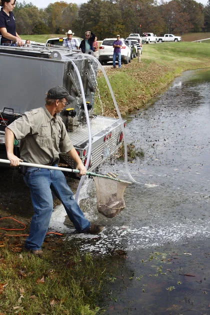 ark trout stocking.jpg