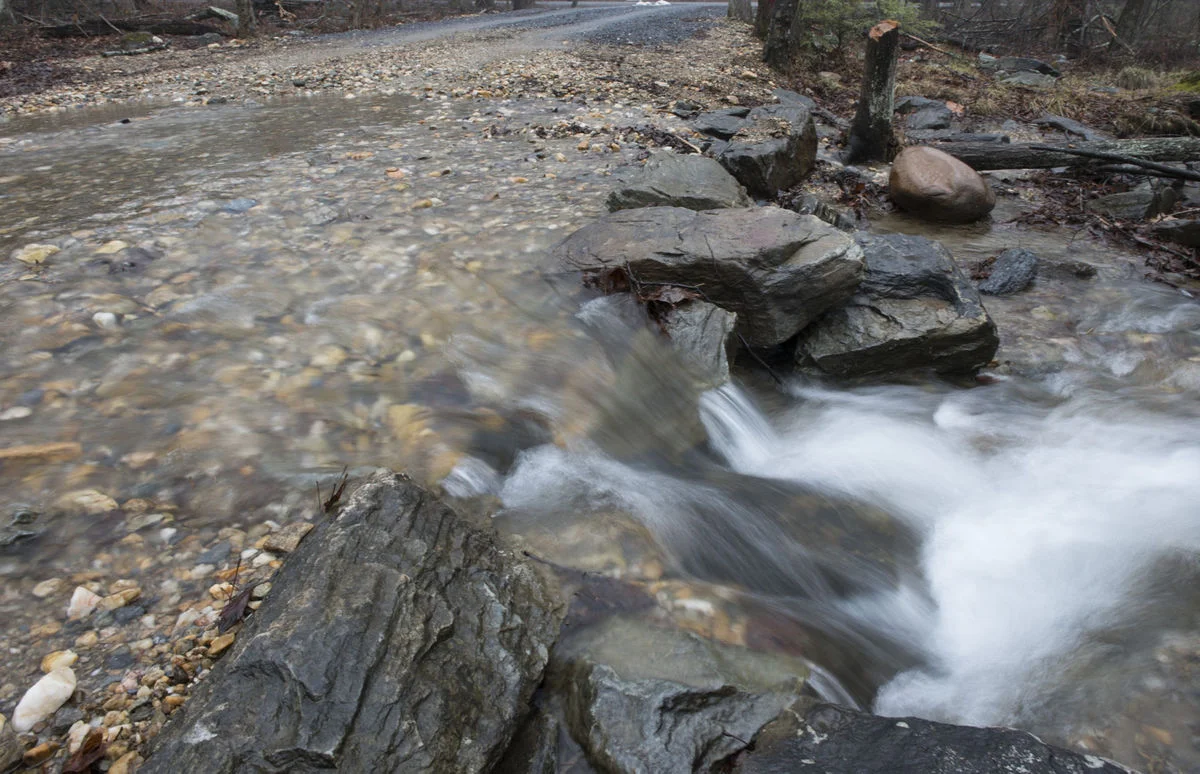 How the Brook Trout Cross the Road.jpg