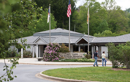 Fishing Workshops Offered at Pisgah Center.jpeg