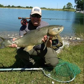 'POOR-MAN’S-BONEFISH’.jpg