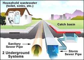 Municipal Separate, Sewer, Storm, Systems.png