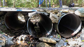 VA-BROOK-TROUT-HABITAT-IMPROVEMENT.jpg